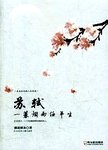 苏轼  一蓑烟雨任平生